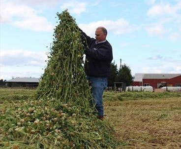 Super Silage