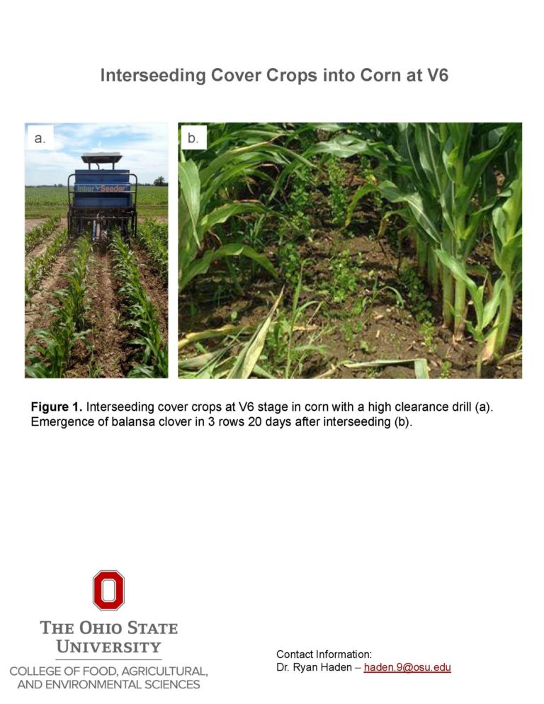 Inter-seeding cover crops