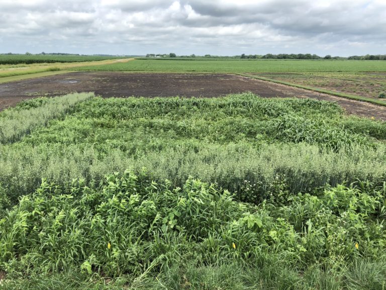 Cover Crop Matrix