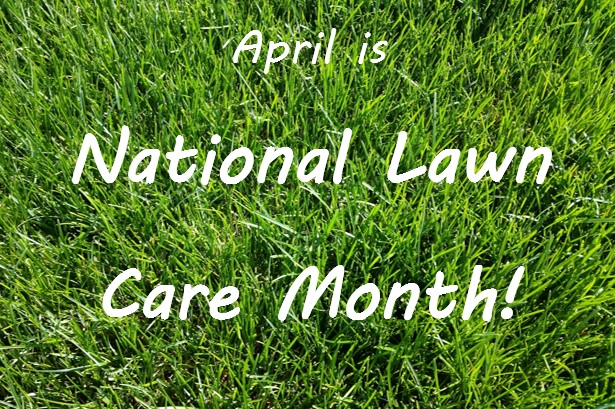 National Lawn Care