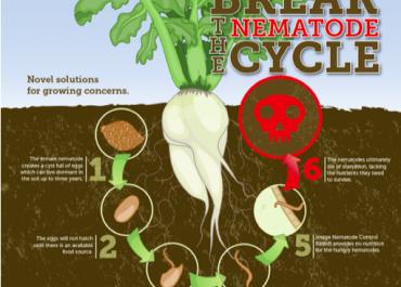 break the nematode cycle