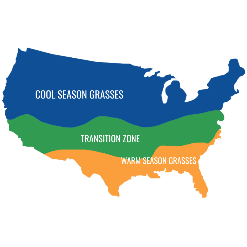 cool season grasses vs warm season grasses