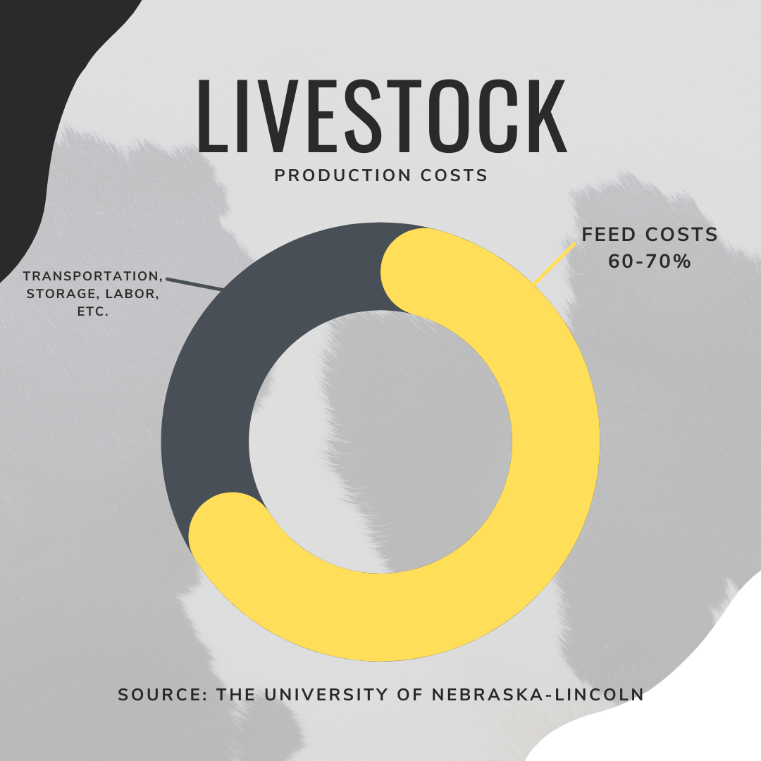 livestock feed costs