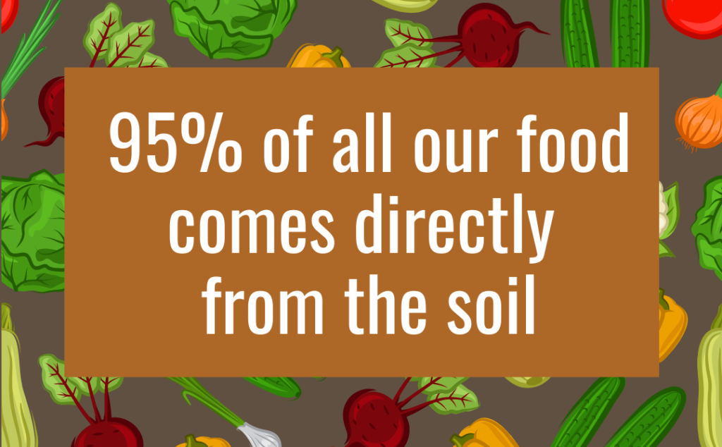 soil health importance
