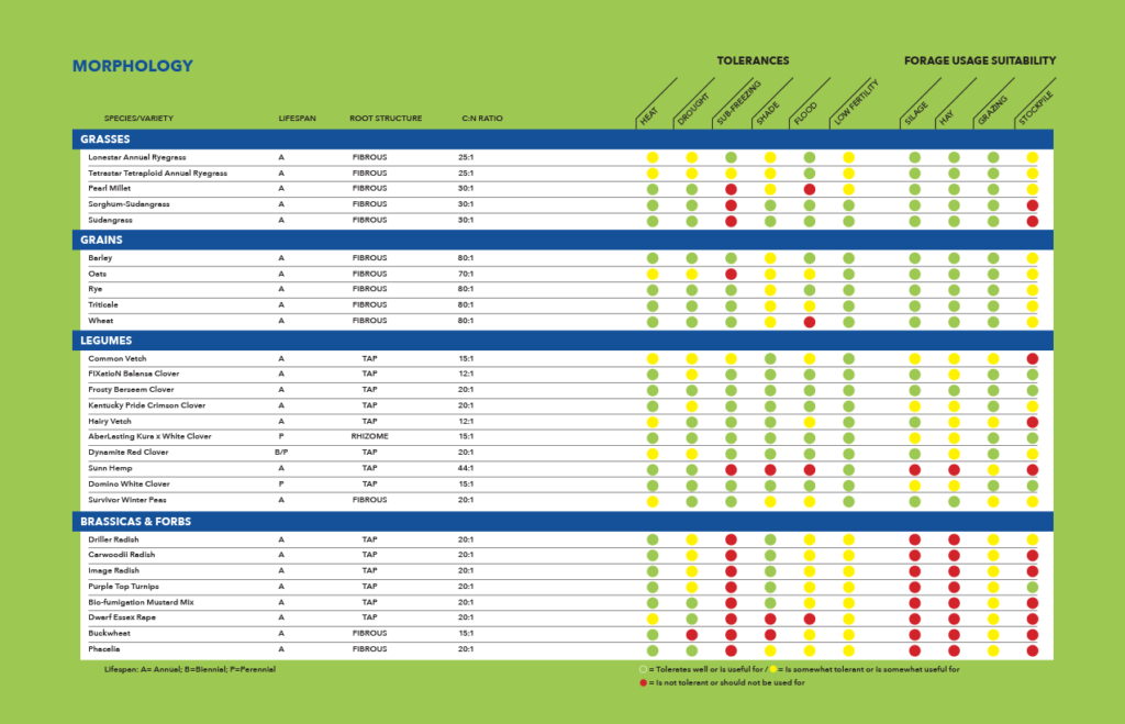 morphology-chart