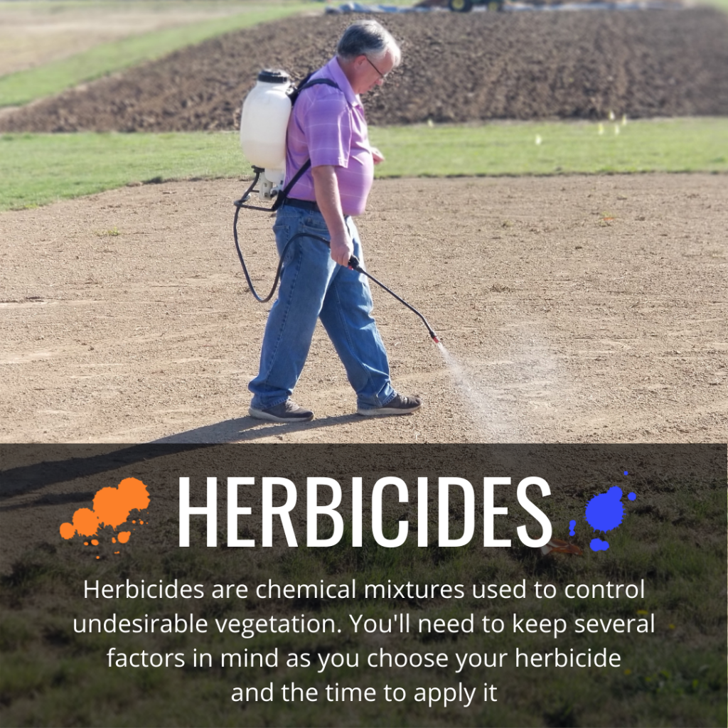 herbicides terminate cover crops