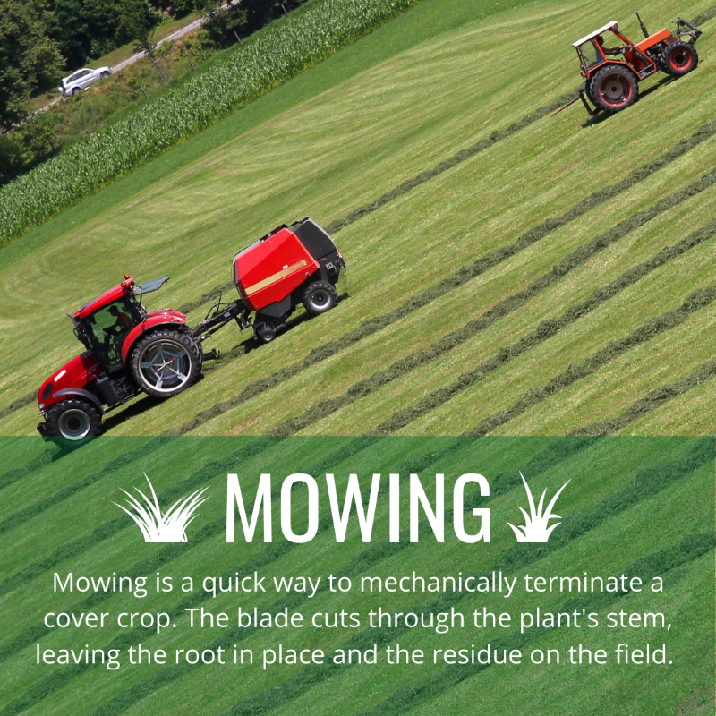 Mowing