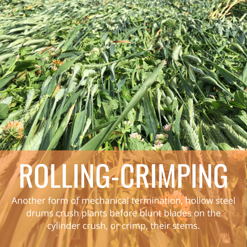 Rolling Crimping