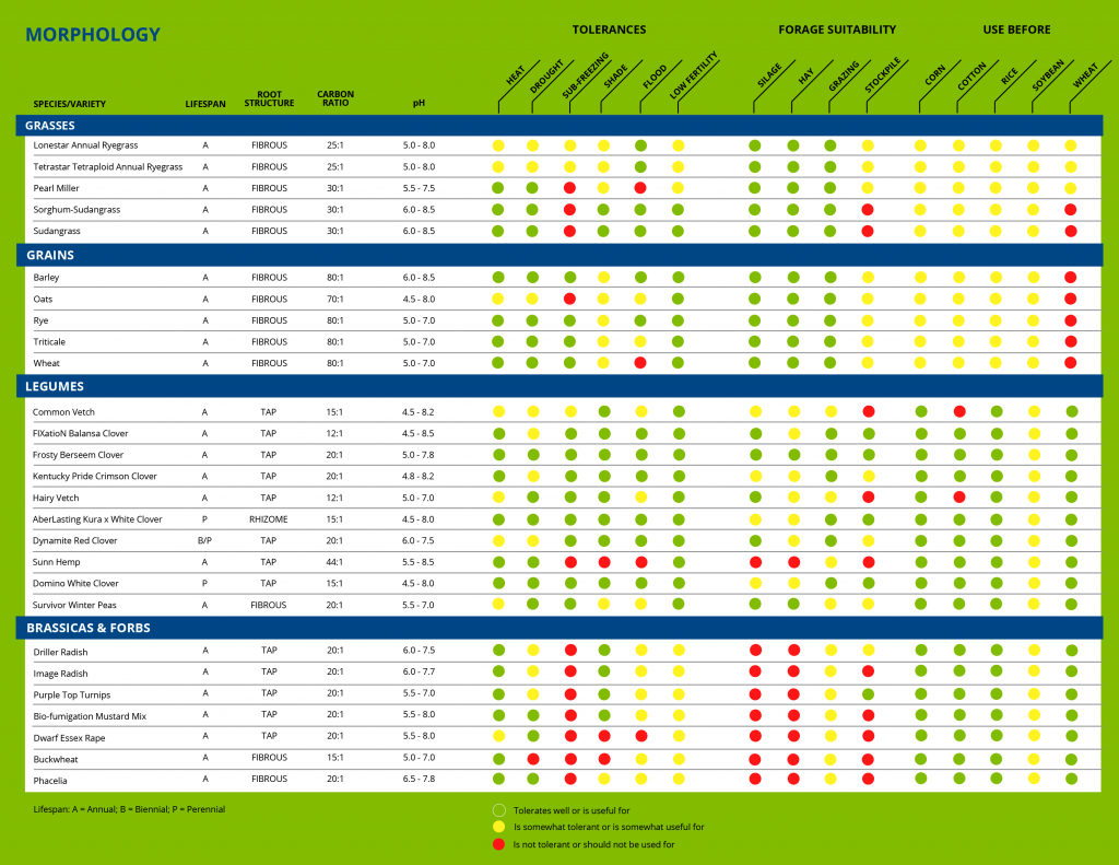 top-10-cover-crop-benefits-improve-your-soil-go-seed