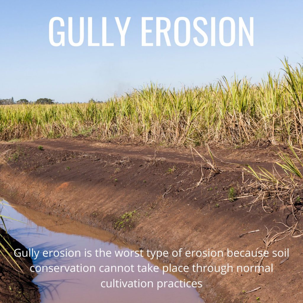 rill erosion definition