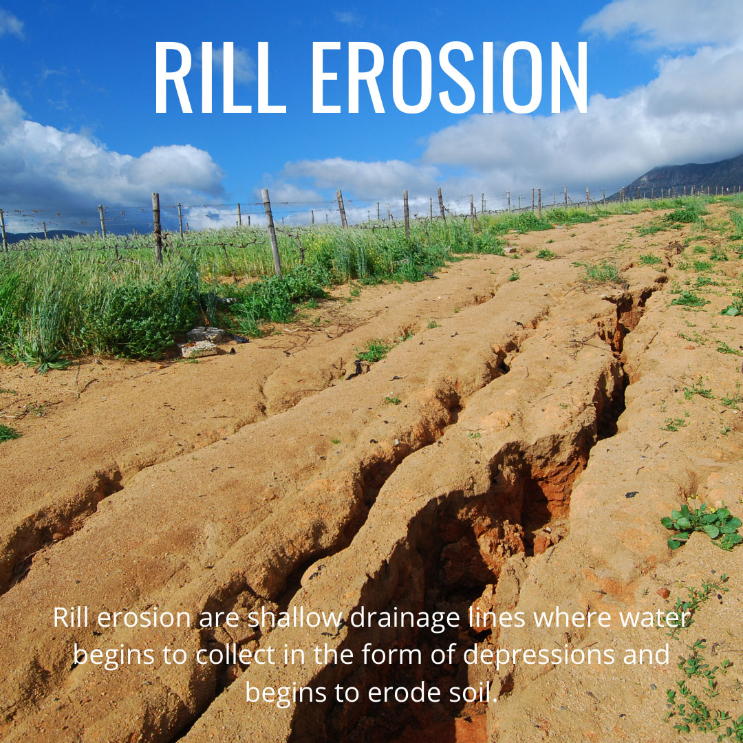 What Is Soil Erosion Definition And Types Extramarks Blog - www.vrogue.co
