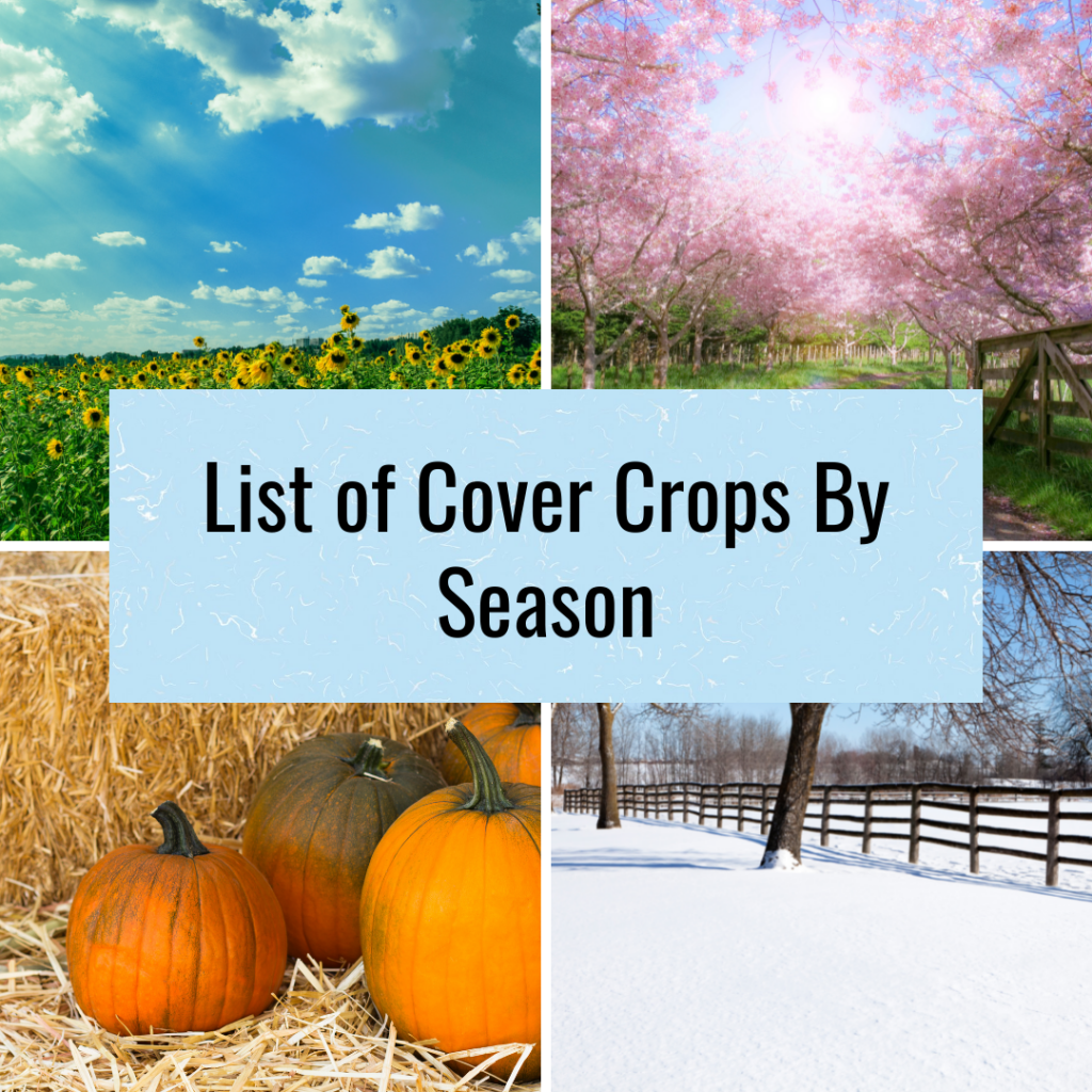list of cover crops