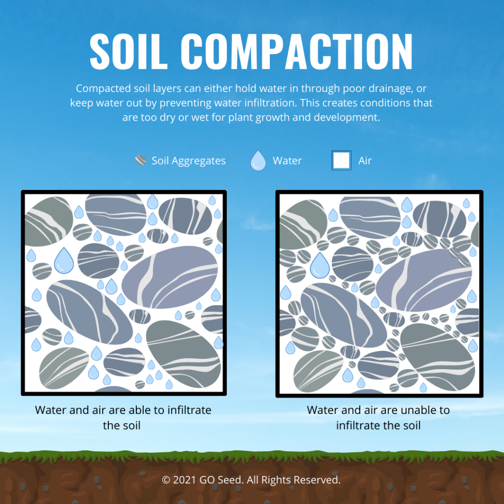 soil compaction long-term gains