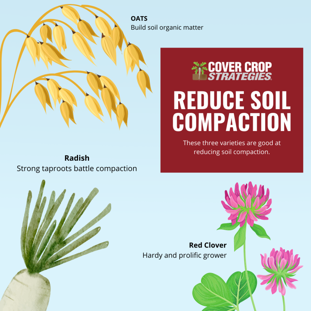soil compaction varieties
