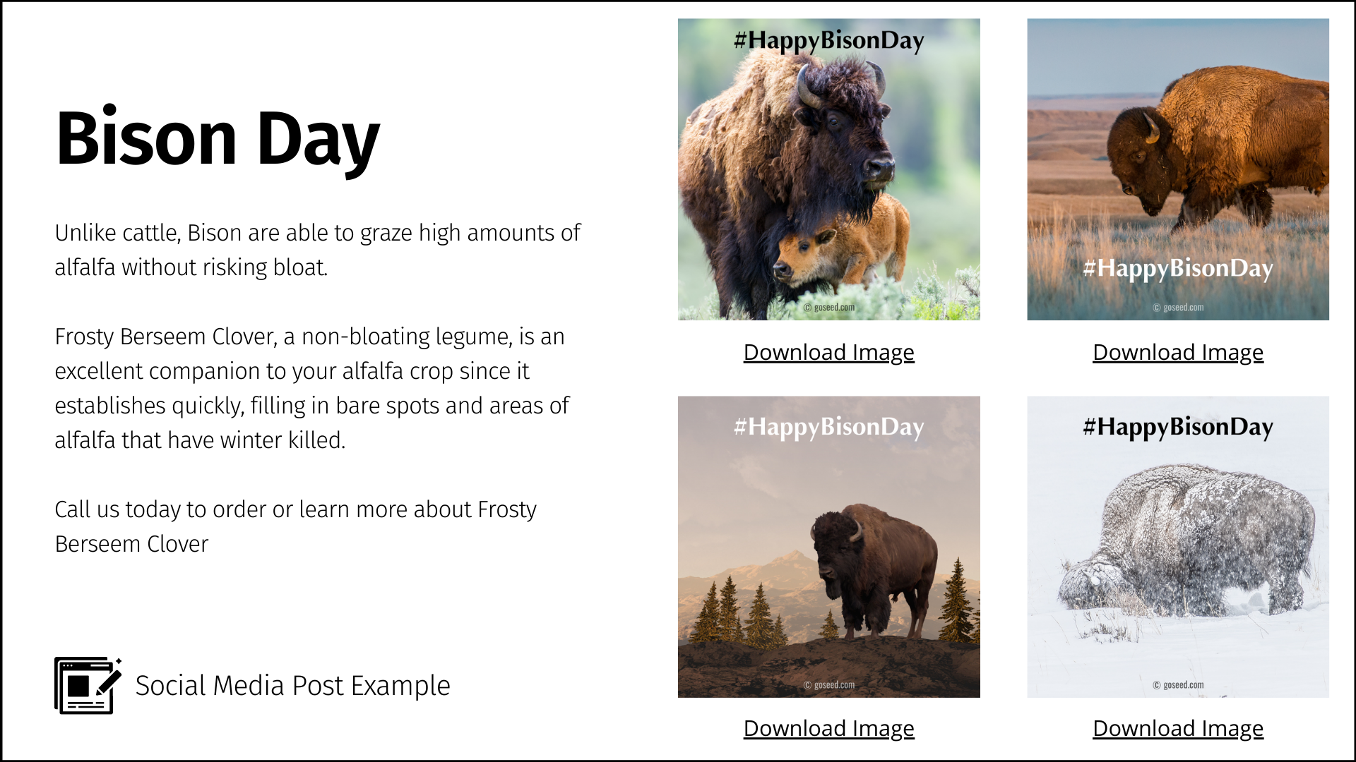 Western Seed Association Go Seed