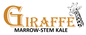 giraffe marrow stem kale