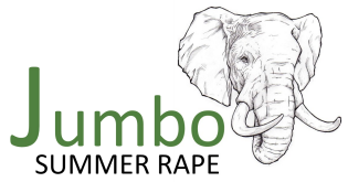 jumbo summer rape