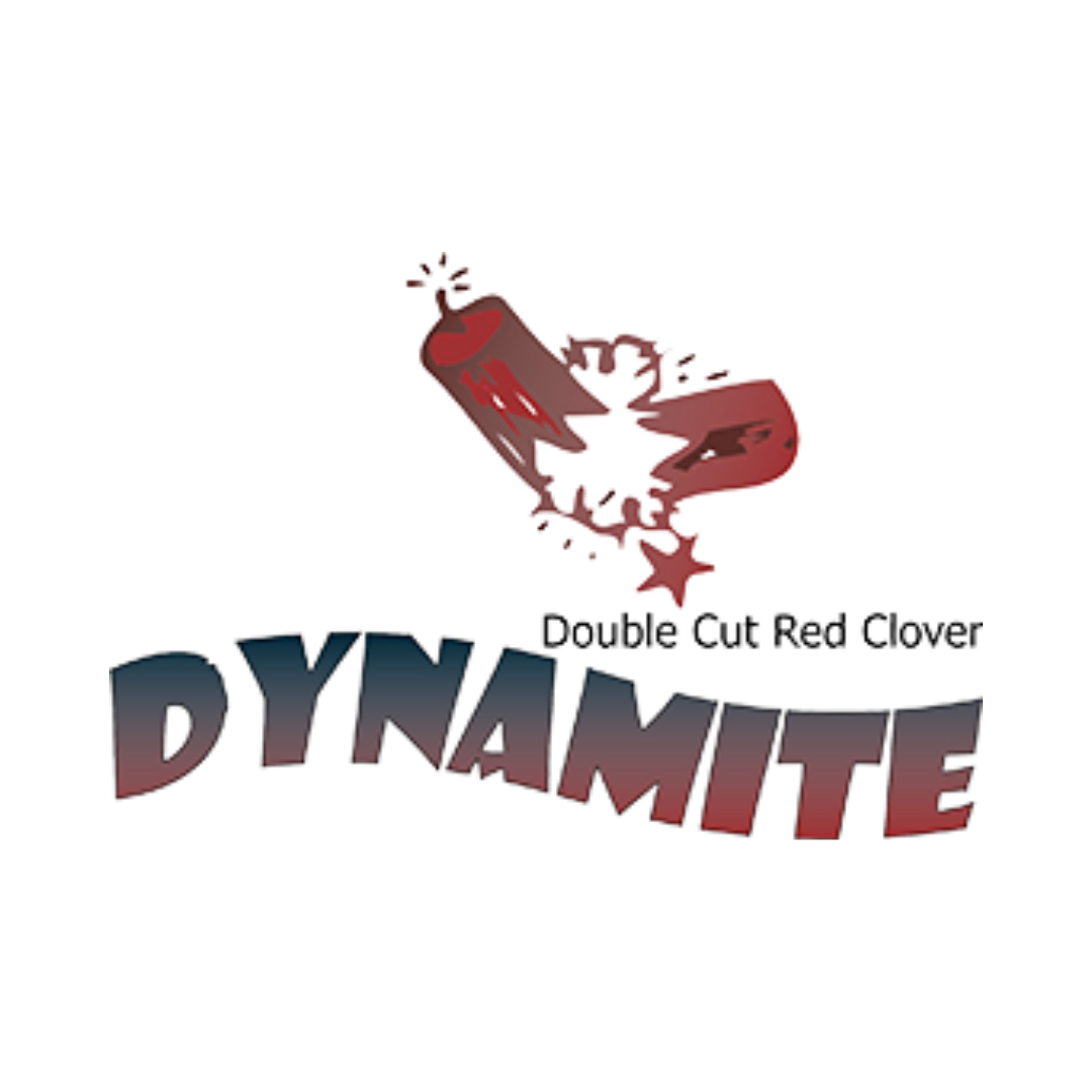 Dynamite Double-Cut Red Clover
