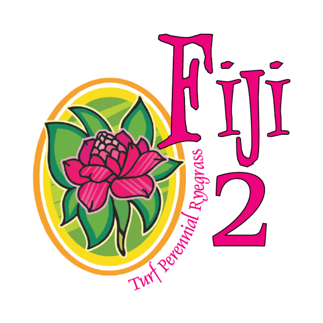 Fiji 2