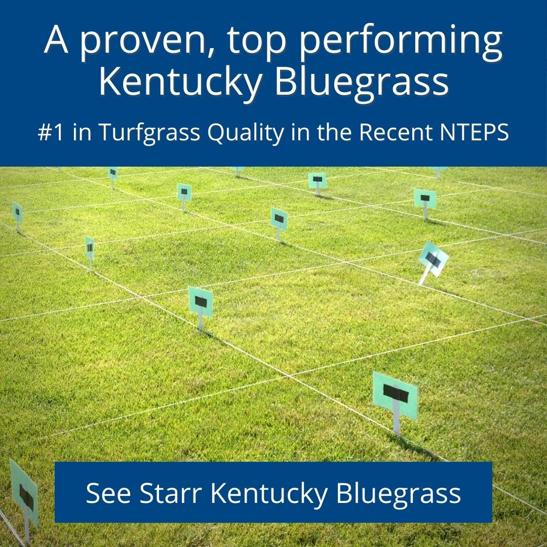top performing Kentucky Bluegrass