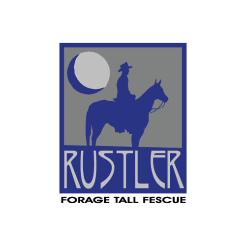 rustler forage tall fescue