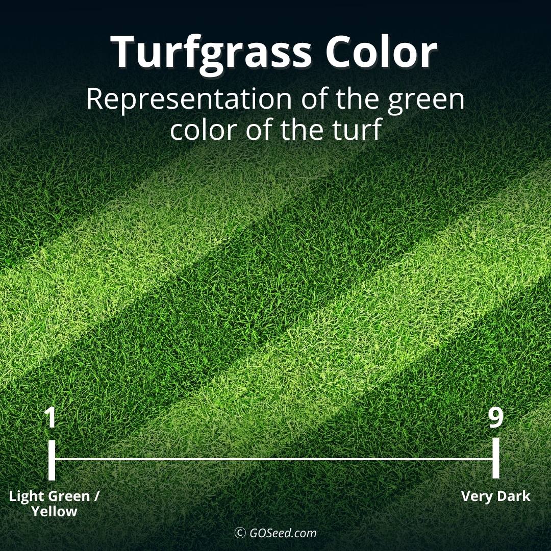 freshly mowed grass with stripes of dark green and light green