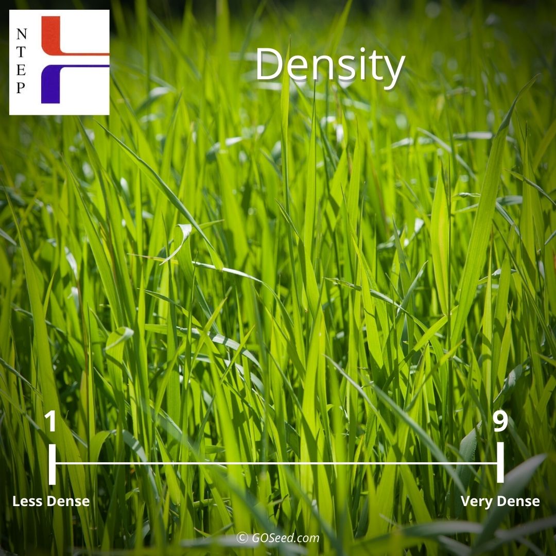 national evaluation turfgrass program density