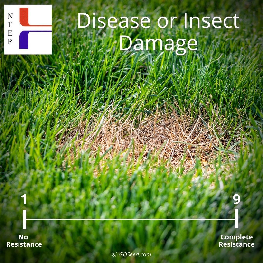 Disease or Insect Damage