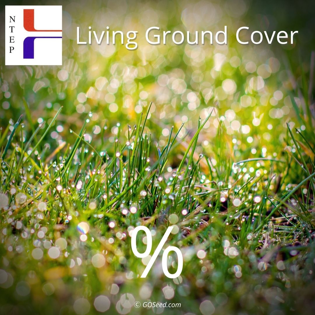 national evaluation turfgrass program living ground cover