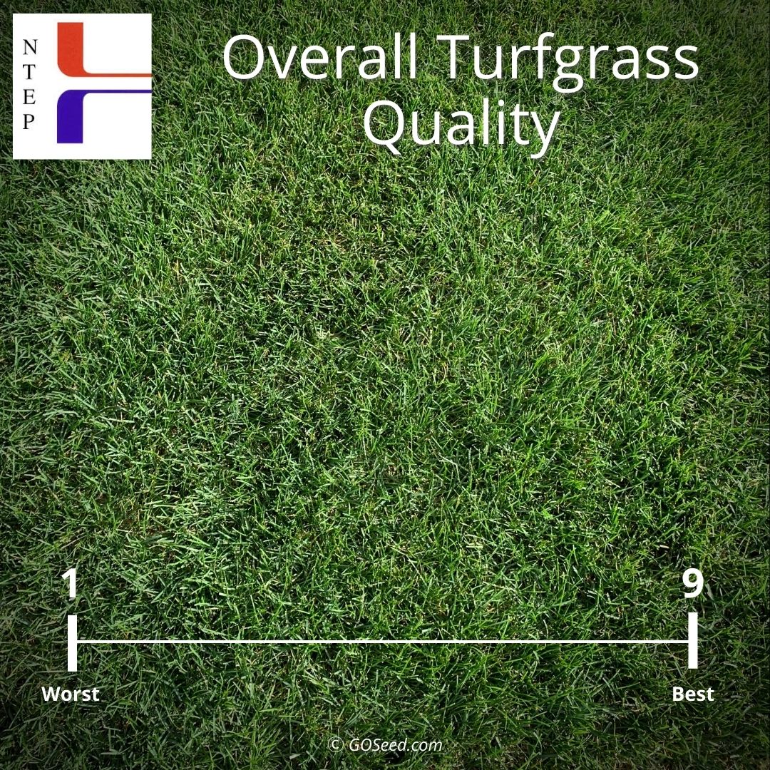 NTEP Turfgrass quality