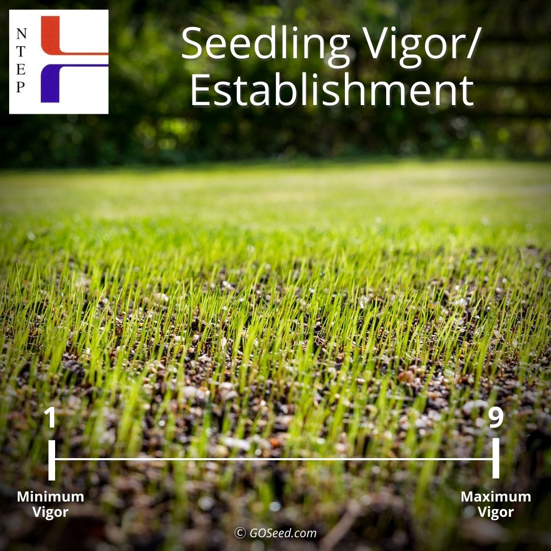 national evaluation turfgrass program seedling vigor