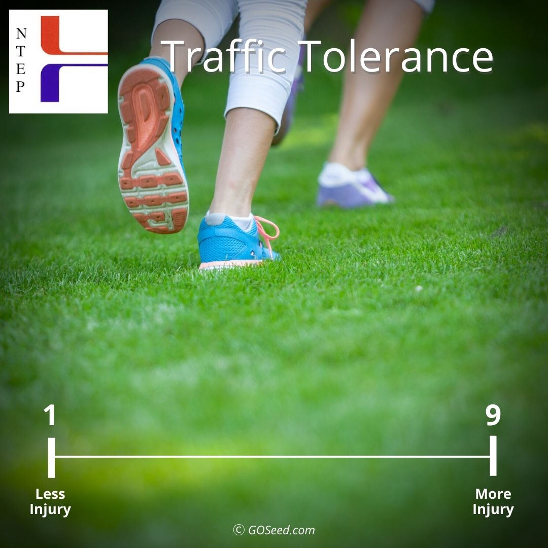 national evaluation turfgrass program Traffic Tolerant