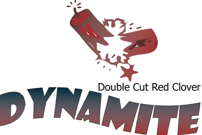 Dynamite Red Clover Logo