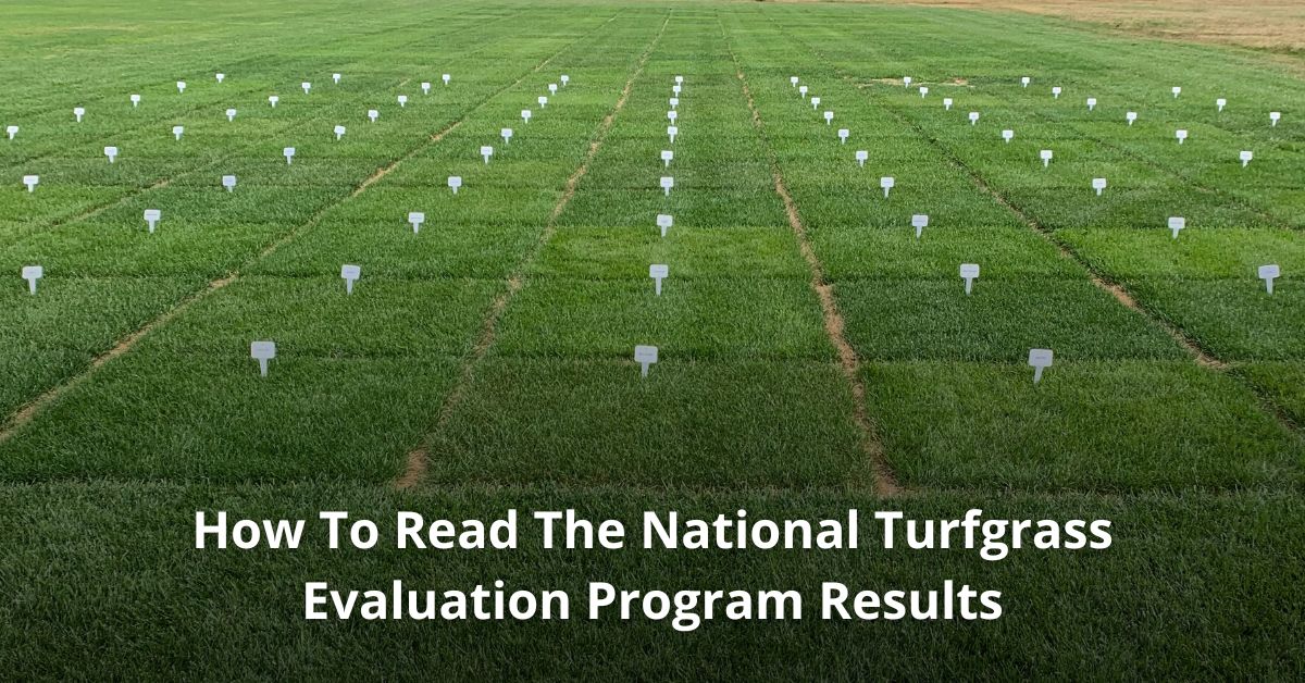How to read and understand the National Turfgrass Evaluation Program NTEP