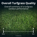Overall Turfgrass Quality