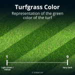 Turfgrass Color