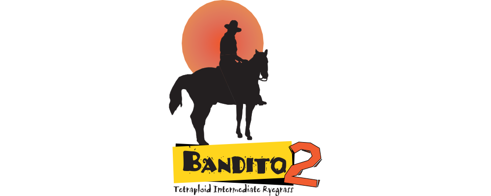 bandito-2 logo