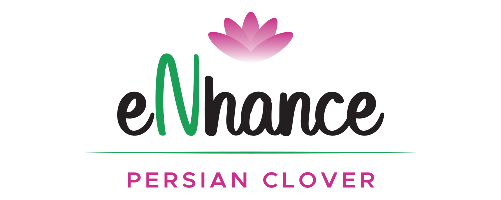 enhance persian logo