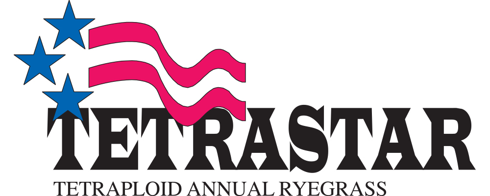 Tetrastar Logo