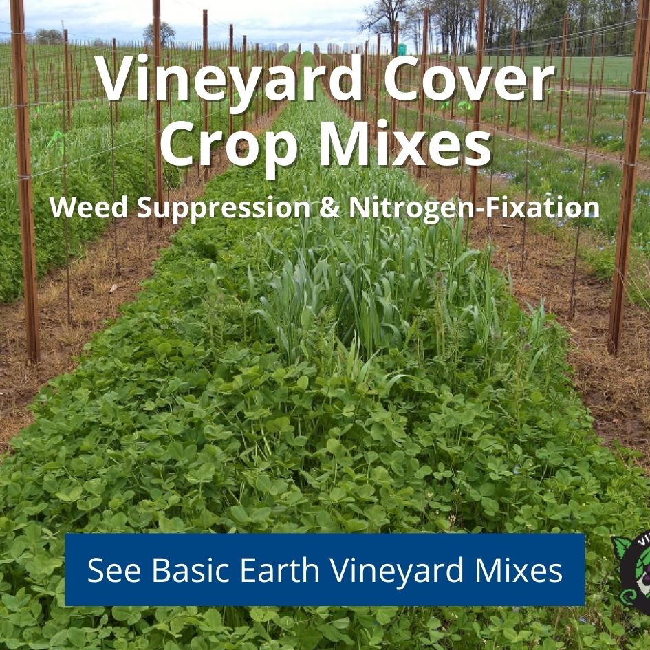vineyard cover crop mixes