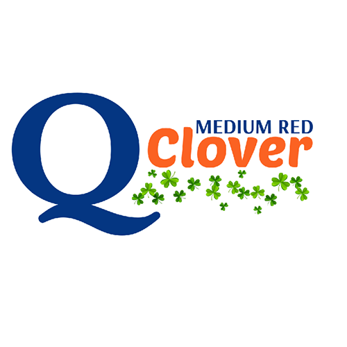 Q Clover Logo