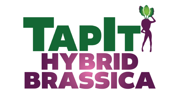 TapIt Hybrid Brassica