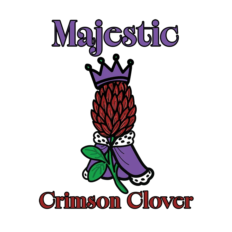 Majestic Crimson Clover
