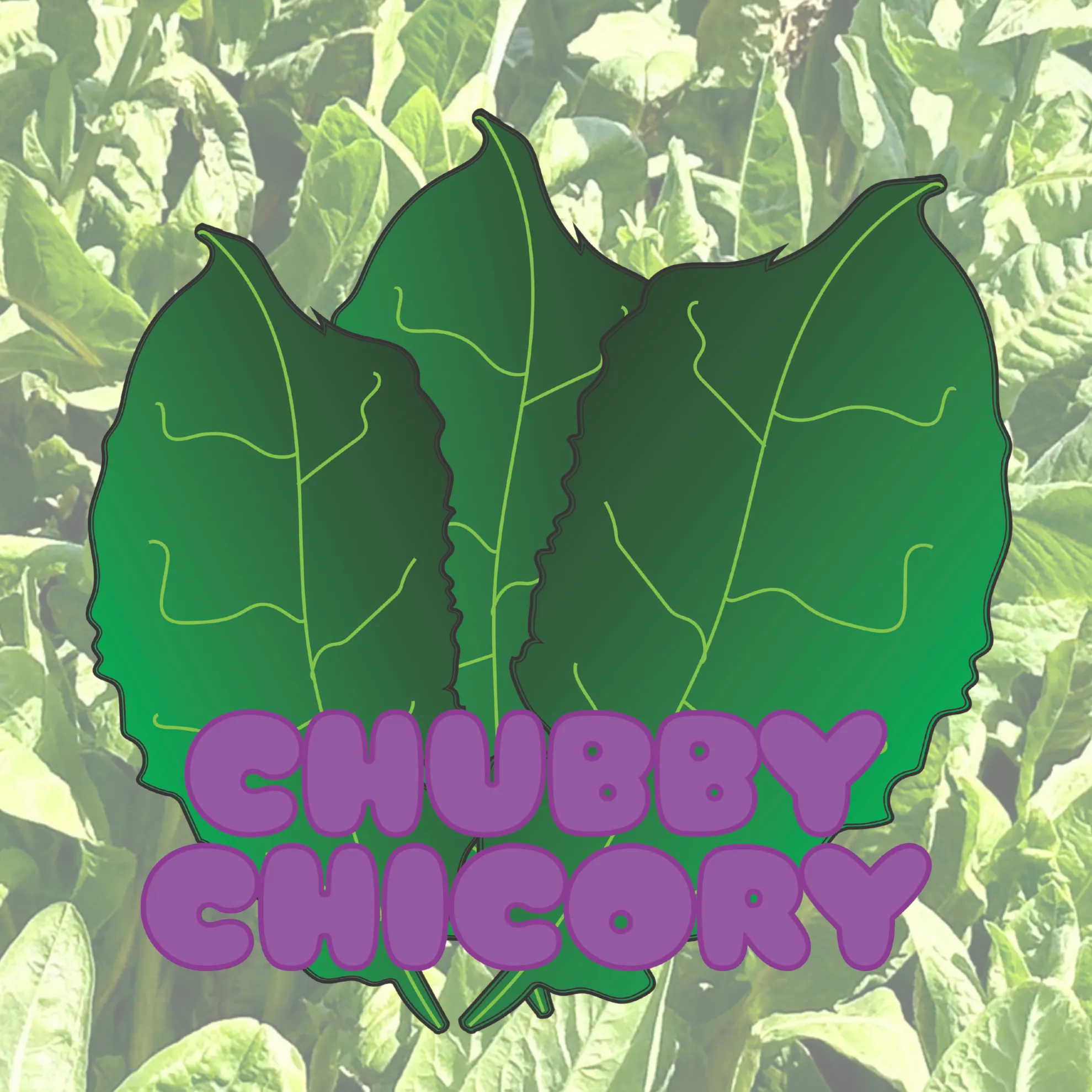 Chubby-Chicory-logo
